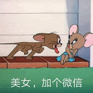  日常热门沙雕搞笑表情