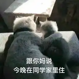 无奈表情包搞笑沙雕螺蛳