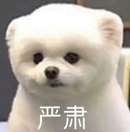  昨晚,苹果开了一场史上最软的发布会