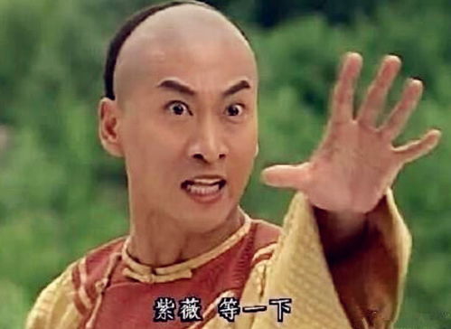  表情靠表情包走红的明星,洪世贤不算啥,看到蓝衣法师雨女无瓜...表情