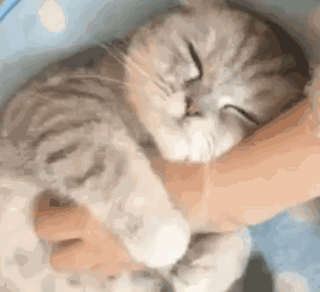 老婆你真棒动态表情包问