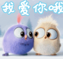  老婆生日快乐