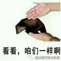  听说,你被父母嫌弃了