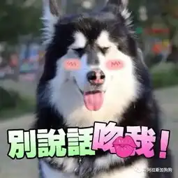  阿拉斯加表情包,阿拉粉斗图必备