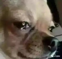 不小心弄断女友40支口红,该怎么办爆笑,一定要看到最后 不小心弄断女友40支口红,该怎么办爆笑,一定要看到最后