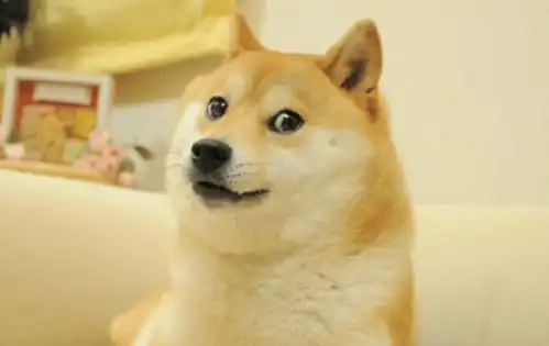 腾讯申请狗头表情版权,网友以后发表情包也要充qq会员了  腾讯申请狗头表情版权,网友以后发表情包也要充qq会员了