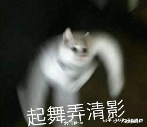  有哪些沙雕气很浓的头像