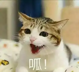  有点意思
