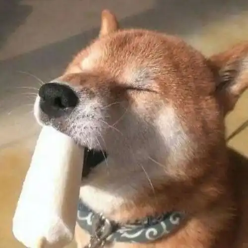  盘点那种沙雕又可爱的朋友圈文案