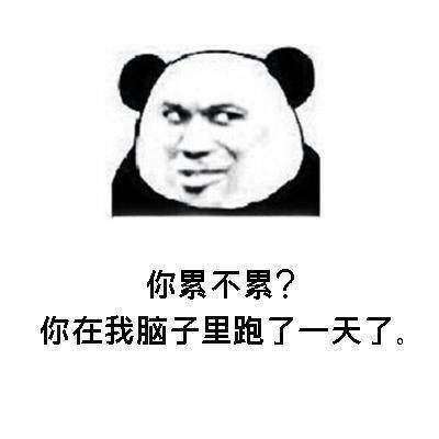  你属啥你属于我表情包分享撩妹情话表情包大全