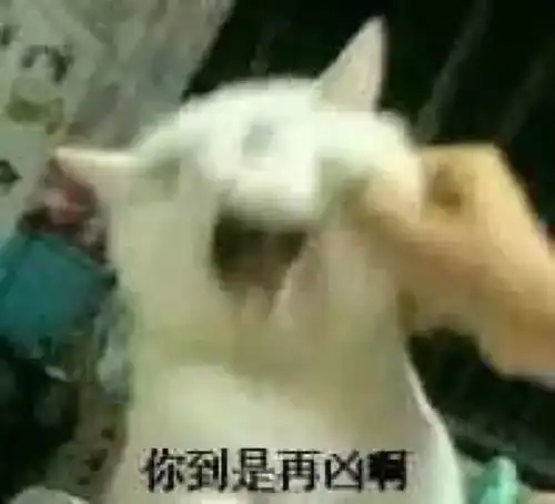  惊动人民日报的保温杯到底什么来历一夜之间成了网红连鹿晗也躺枪了