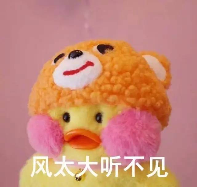  可爱的玻尿酸鸭系列