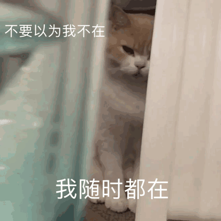  可爱搞笑又沙雕的表情包大全