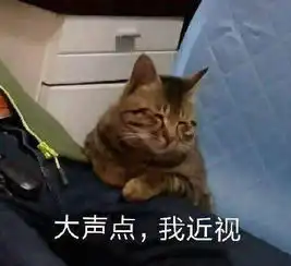 猫咪表情包合集大声点,我近视