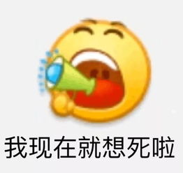  哈哈哈教你如何让表情包变得更时尚