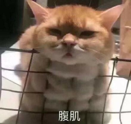 微信表情包什么意思肌肉