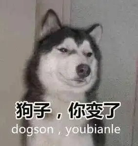 营养快线图片表情包小妹