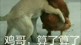  世界美好你就可可爱爱