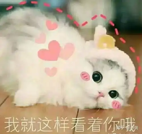  如何找到淘宝优惠券
