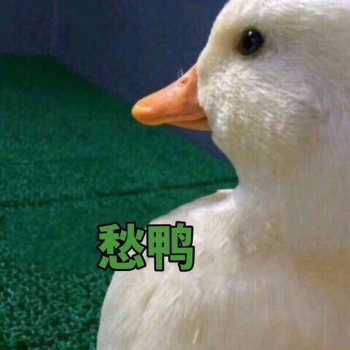  为什么越长大,和爸妈越没话题