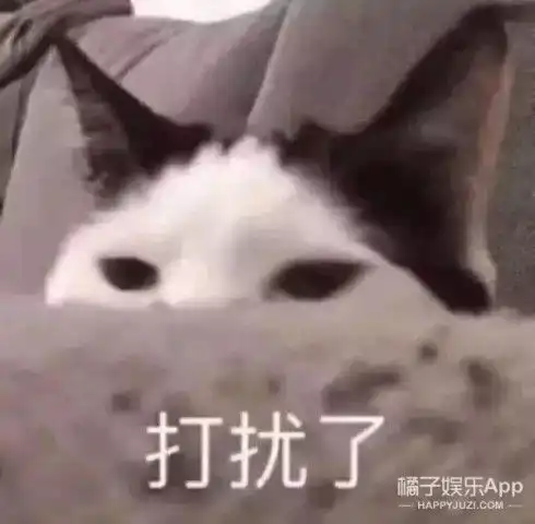  拍成这样是认真的吗