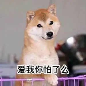  大秋和二壹