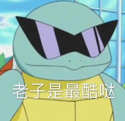  杰尼龟表情包合集老子是最酷哒