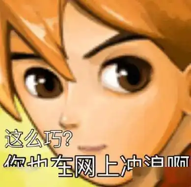  好巧啊,你也在网上冲浪啊