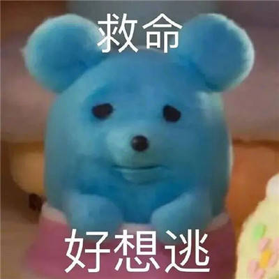 在线表情包沙雕聊天