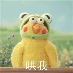  火爆朋友圈的ig,到底是什么