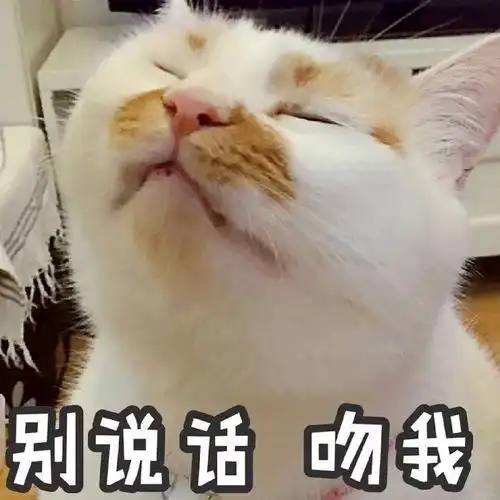  距离开班还剩五天什么你还没报名