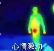  我不裸聊你怎么诈骗我两小伙出于好奇和骗子过招,被骗17万