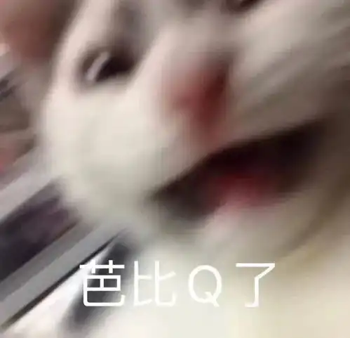  我要拉黑你