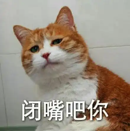  男不养猫女不养狗朋友,你这么会讲话,一定没有姑要你这条单身狗吧哔哩哔哩专栏