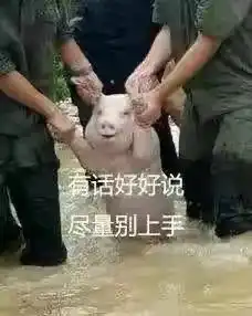 在线表情包沙雕台风