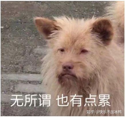 放假被骂表情包跳舞机