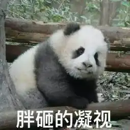  周六特辑no.1可以和我啵啵吗