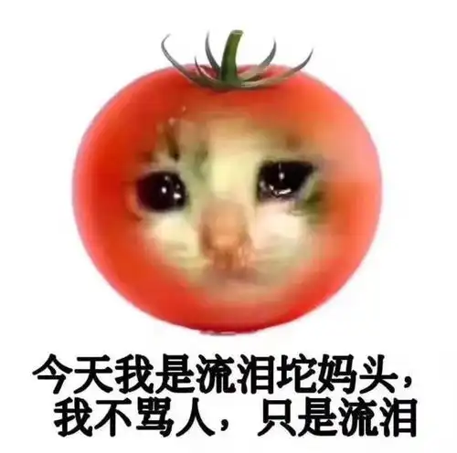  热门爆笑表情包