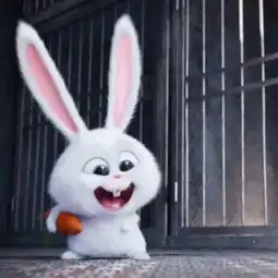 求电影爱宠大机密里,那只兔子的表情包 求电影爱宠大机密里,那只兔子的表情包