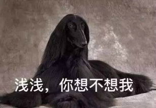  三生三世今天不谈桃花就聊聊x40