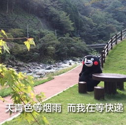  双十一快递表情包大全下载快递在路上就感觉日子还有个盼头表情包大全高清无水印极光下载站