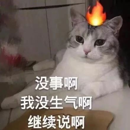  聊天表情包拿图片没事,继续说,我没生气啊