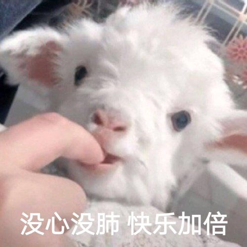 泡泡玛特透娃群交换群有想要加入的姐妹吗