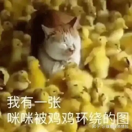  污污表情包图片我有一张黄颜色的图