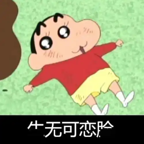  蜡笔小新表情包我要离家出走