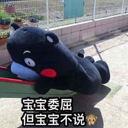  19年创意表情包,90后最爱笑哭,00后最爱沙雕