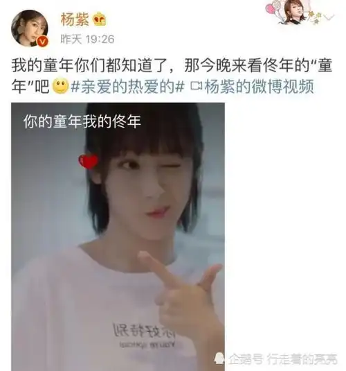 搞笑道歉表情杨紫