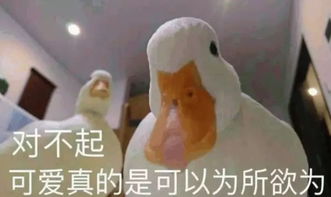  王思聪新欢上热搜,比以前的网红都好看