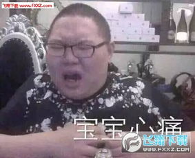  pdd最新表情包下载pdd最新表情包下载飞翔下载