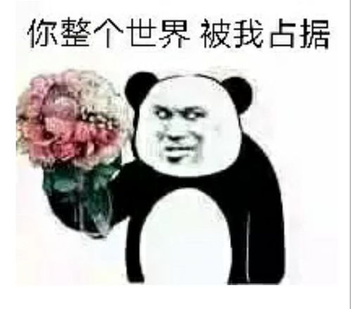  听说这些宿舍组合要出道